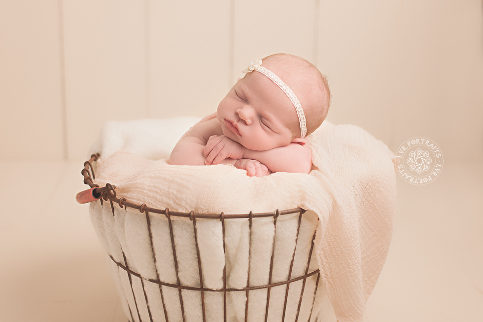 newborn-photographer-lancaster-pa-lvr-portraits-3820