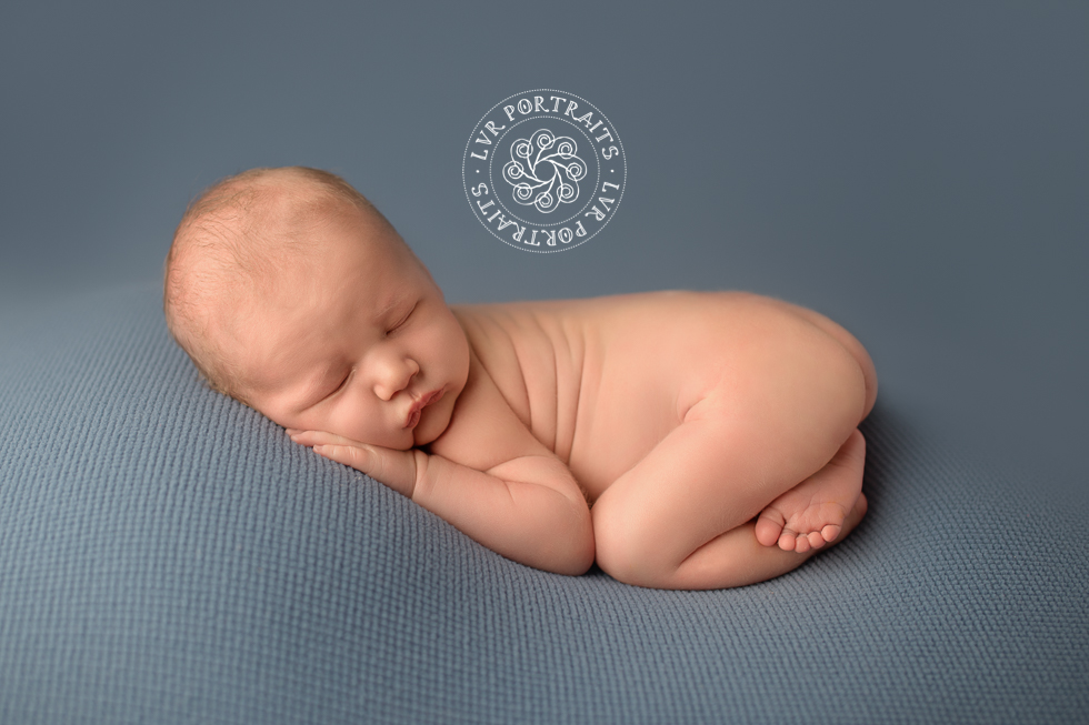 newborn baby boy photography on blue blanket