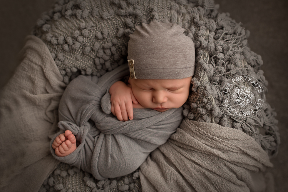newborn baby boy photography - gray wrap