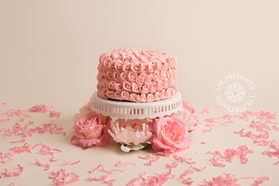 Lancaster baby photographer, cake smash, cake and flowers
