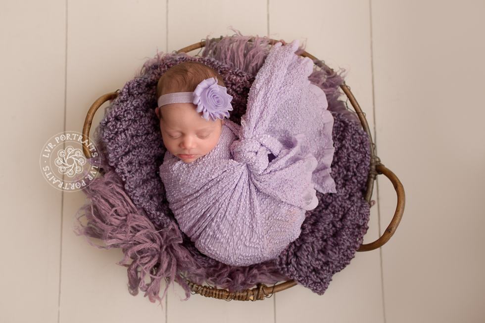 newborn girl in purple wrap, lancaster pa fine-art photography