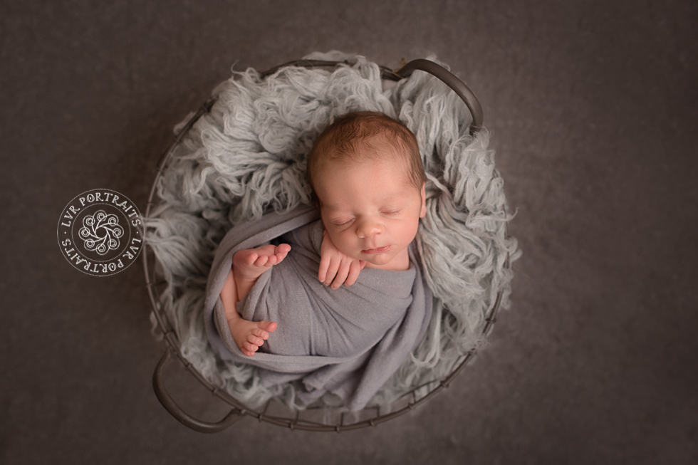 newborn boy in basket, gray wool fluff, lancaster portrait photographer