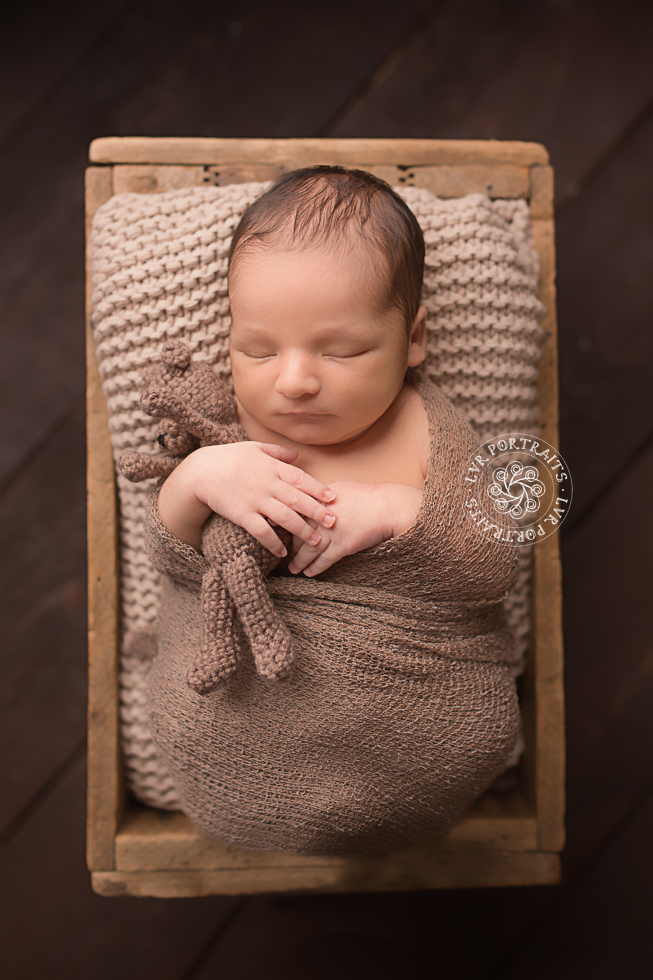 Lancaster newborn photography, baby boy with bear