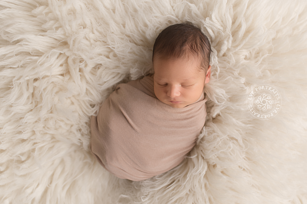 Lancaster newborn photography, baby boy on flokati