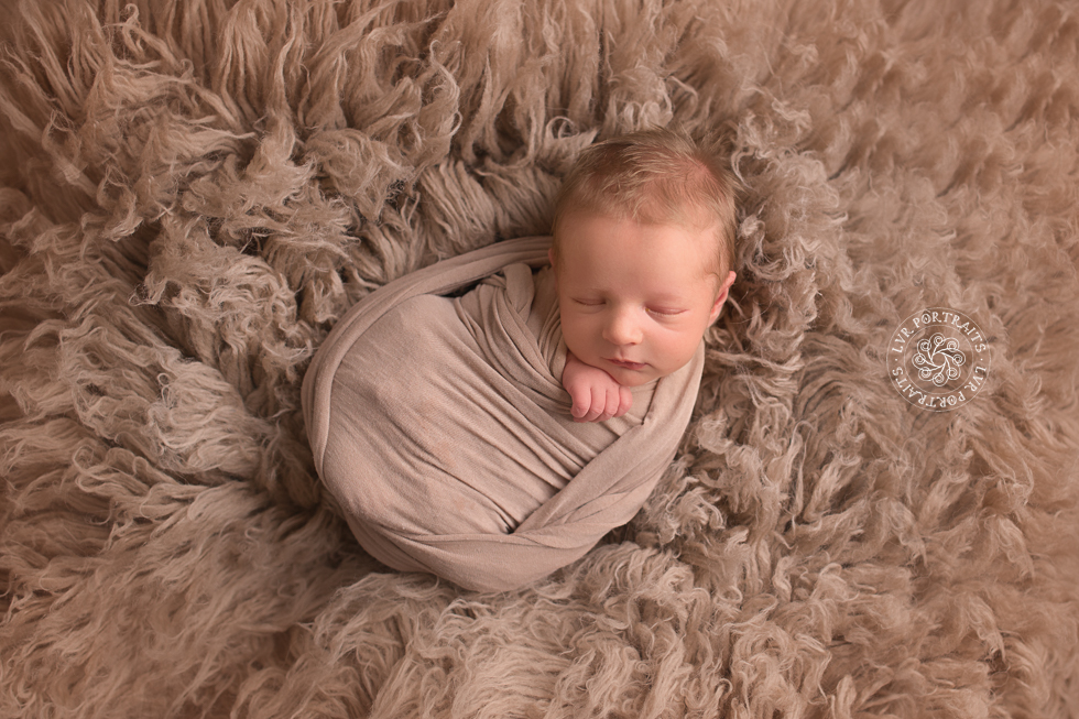 Newborn photography session, lancaster PA, newborn boy, wool flokati