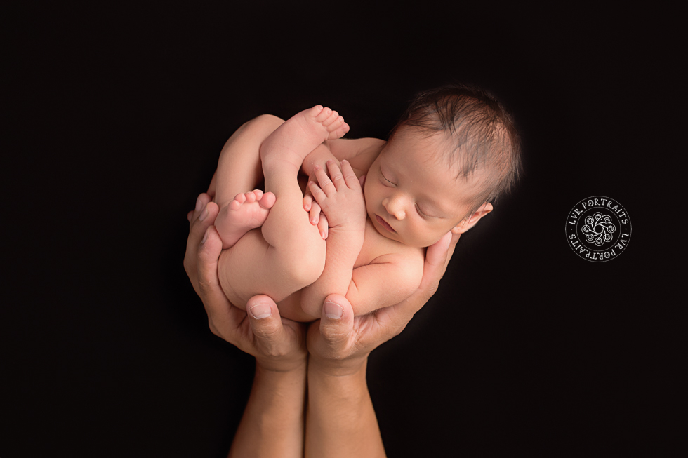 Lancaster-PA-Newborn-Photographer, LVR Portraits, dad's hands on black background
