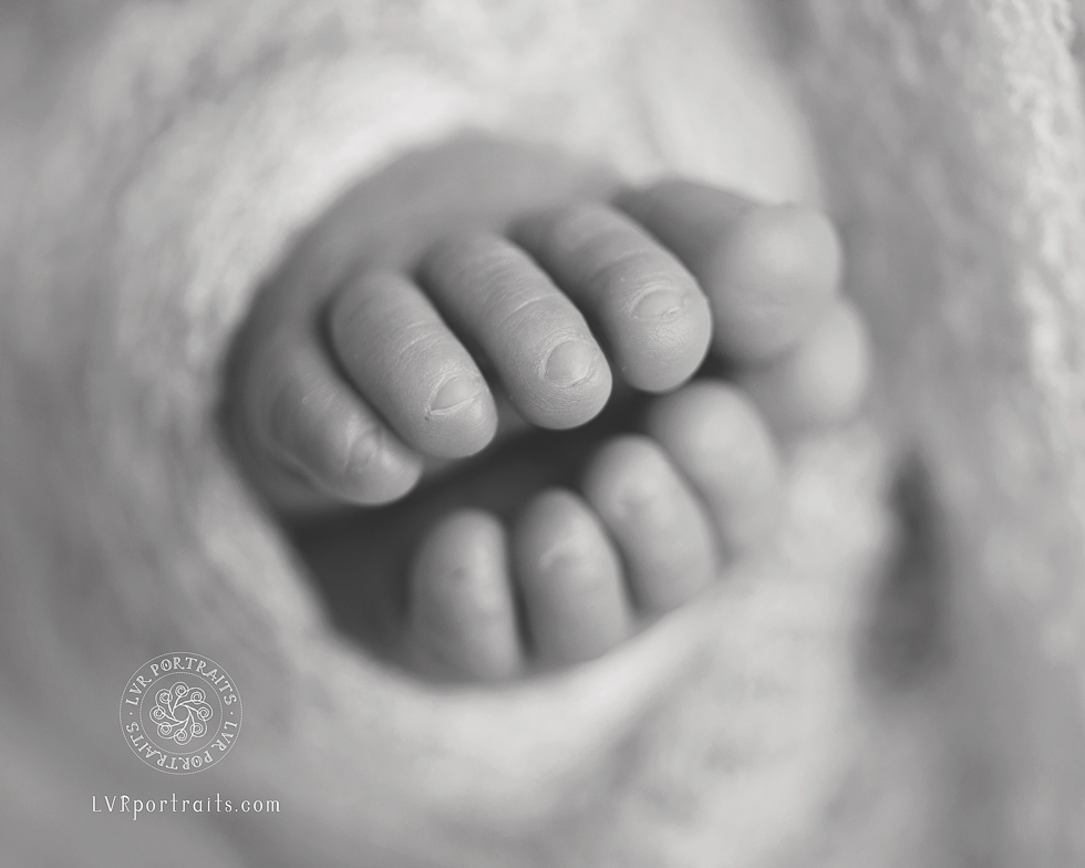 Lancaster Maternal Fetal Medicine, LVR Portraits, Lancaster PA Newborn Photographer, baby's toes