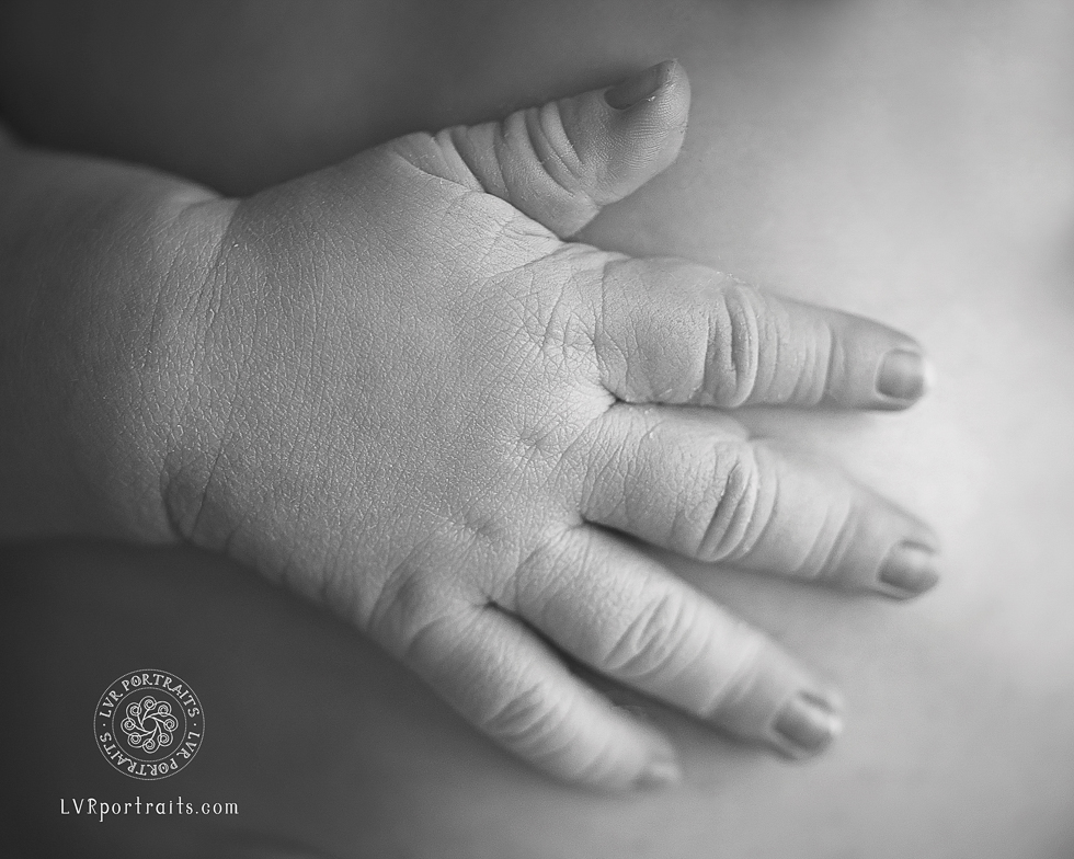 Lancaster Maternal Fetal Medicine, LVR Portraits, Lancaster PA Newborn Photographer, baby's hand