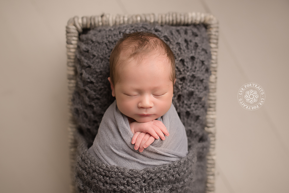 infant photographer, newborn boy, gray wrap