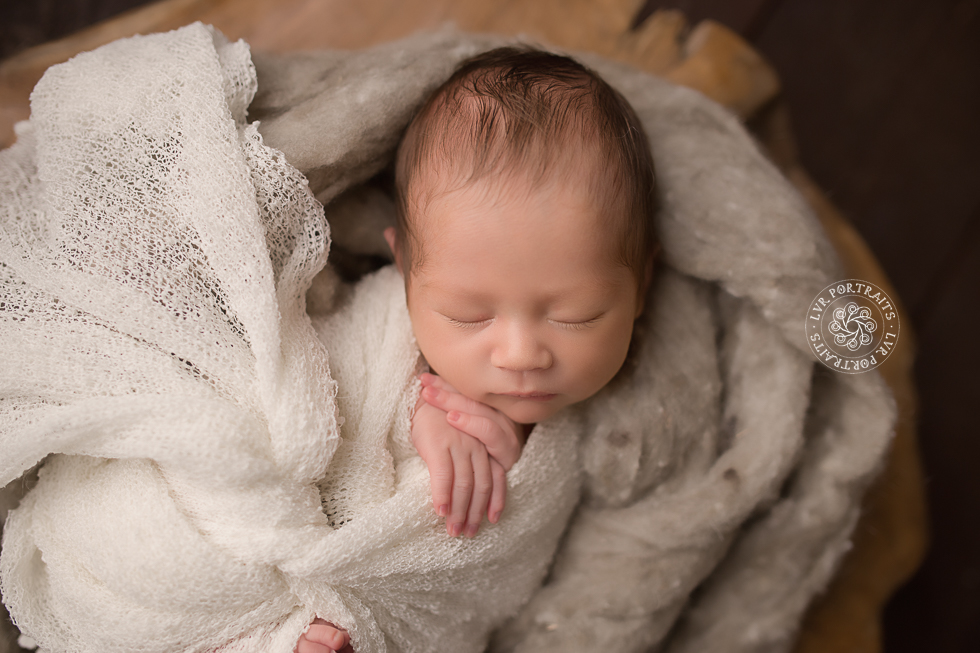infant photographer, newborn boy, neutral colors